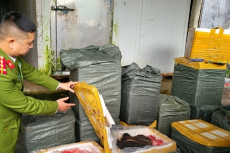 Báo động thực phẩm bẩn tấn công bếp ăn trường học: Khi "lá chắn" bị xuyên thủng từ bên trong