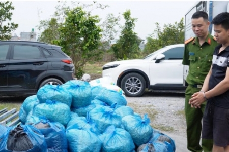 Quảng Ninh phát hiện cơ sở sản xuất giá đỗ sử dụng chất cấm, thu giữ 4 tấn sản phẩm vi phạm