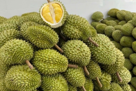 Giá sầu riêng hôm nay 17/4: Thị trường ổn định