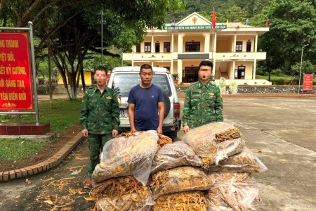 Cao Bằng: Phát hiện hơn 600kg nguyên liệu thuốc lá, tiêu hủy hàng trăm cây thuốc phiện