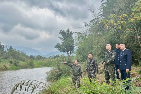 Hải quan khu vực VIII triển khai thực hiện Chiến dịch Con rồng Mê Kông VIII