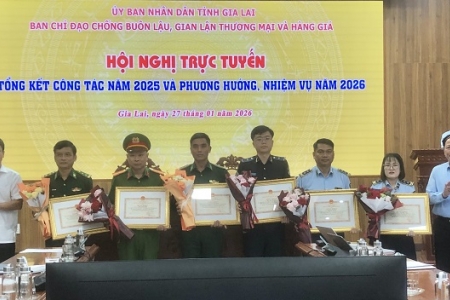 Gia Lai kiện toàn Ban Chỉ đạo 389 tỉnh 