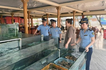 Hà Tĩnh: Tăng cường kiểm tra, kiểm soát hoạt động thương mại phục vụ du lịch