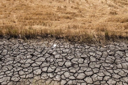 Bộ Nông nghiệp và Môi trường cảnh báo nguy cơ thiếu hụt nguồn nước do El Nino