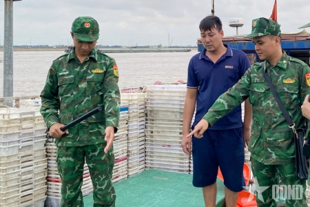Bắt giữ tàu cá vận chuyển trái phép 10.000 lít dầu trên vùng biển giáp ranh Hải Phòng – Quảng Ninh