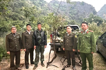 Ninh Bình: Ngăn chặn tình trạng khai thác trái phép cây muội hồng, bảo vệ tài nguyên rừng