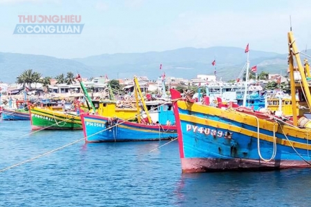 Đắk Lắk: Xử lý dứt điểm các tồn tại về chống khai thác IUU