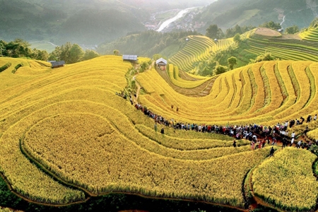 Mù Cang Chải tổ chức Giải leo ruộng bậc thang lần thứ nhất vào ngày 1/5/2026