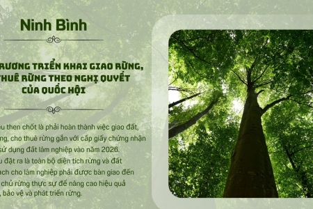 Ninh Bình: Triển khai giao rừng, cho thuê rừng theo Nghị quyết của Quốc hội