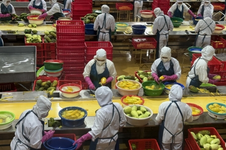 Nỗ lực giữ vững thị trường nông sản trọng điểm