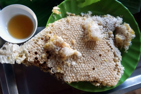 Cà Mau: Vườn Quốc gia U Minh Hạ điểm đến du lịch sinh thái, nghỉ dưỡng, giải trí