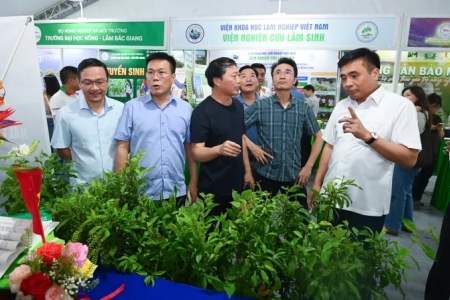 Phát triển dược liệu theo hướng kinh tế xanh: Khơi thông điểm nghẽn, nâng cao giá trị