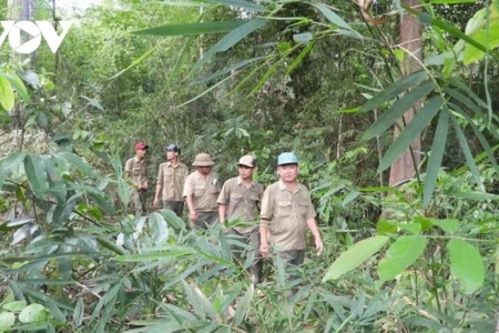Tây Ninh tăng cường tuần tra, kiểm soát đốt đồng để phòng cháy rừng cao điểm