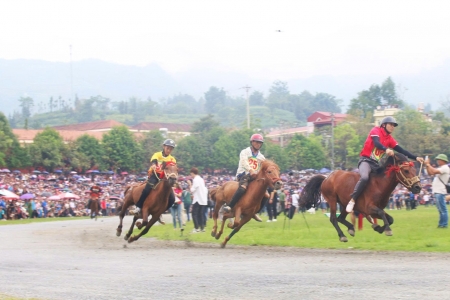 Festival mùa Hè Bắc Hà 2026: Tôn vinh di sản đua ngựa, lan tỏa bản sắc cao nguyên