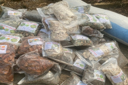 Đội QLTT số 7 Lào Cai tăng cường kiểm tra lĩnh vực dược liệu, thuốc cổ truyền tại khu vực Bắc Hà