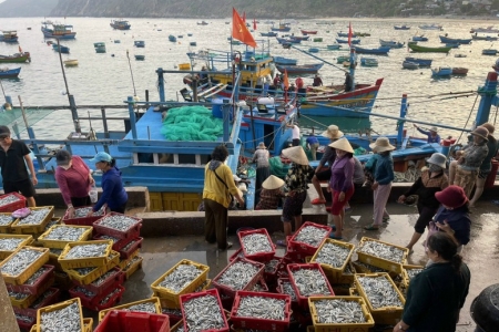 Thủ tướng Chính phủ: Khắc phục triệt để các tồn tại, hạn chế trong chống khai thác IUU