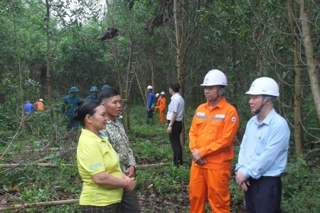 Thanh Hóa: Ra quân giải phóng hành lang an toàn lưới điện cao áp