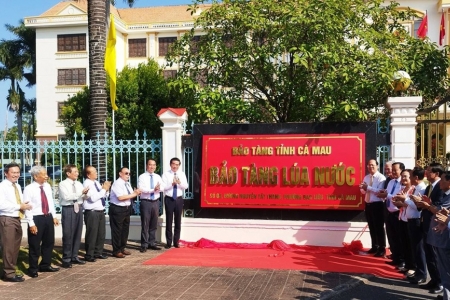 Cà Mau ra mắt Bảo tàng Lúa nước, tôn vinh hành trình chinh phục đất mặn vùng cực Nam