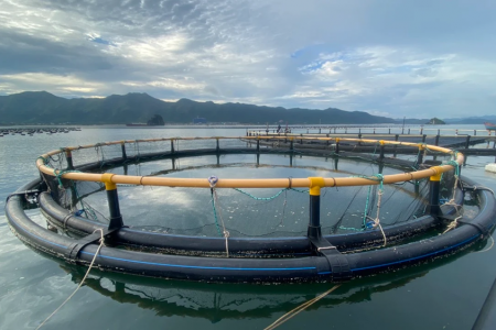 Khoa học công nghệ mở đường cho thủy sản Việt Nam tăng tốc