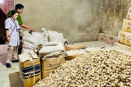 Gia Lai: Thành lập 3 đoàn liên ngành, đồng loạt kiểm tra an toàn thực phẩm toàn tỉnh