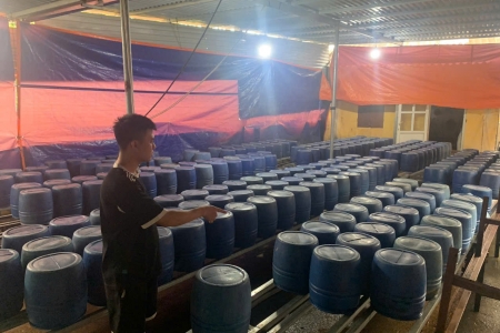 Quảng Ninh: Thu giữ gần 2 tấn giá đỗ "ngậm" hóa chất cấm đe dọa sức khỏe cộng đồng
