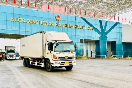 Quảng Ninh: Kim ngạch xuất nhập khẩu tháng 4 đạt hơn 1,78 tỷ USD