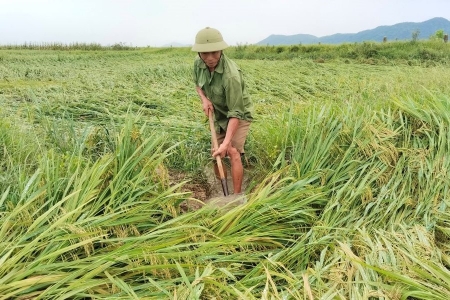 Hà Tĩnh: Mưa đá, dông lốc khiến 48 nhà tốc mái, gần 5.900 ha lúa bị đổ