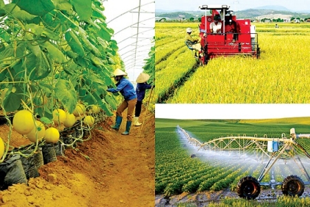 Đồng Tháp đặt mục tiêu hơn 1,42 triệu tấn lúa Hè Thu năm 2026