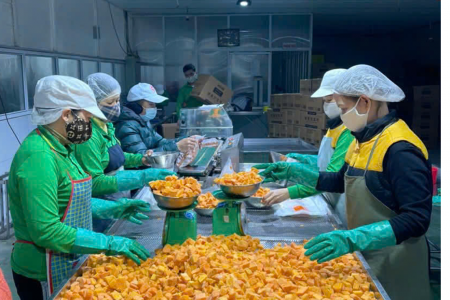 Bắc Ninh cấp Giấy chứng nhận cho 32 doanh nghiệp khoa học và công nghệ