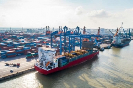 Cảng Đình Vũ (DVP): Lợi nhuận quý I/2026 suy giảm, dự chi cổ tức tiền mặt tỷ lệ 50%