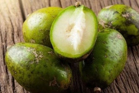 Một loại trái cây dân dã với vị chua đặc trưng nhưng lại chứa nhiều dưỡng chất tốt cho sức khỏe