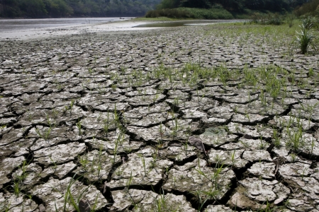 El Nino rất mạnh tác động đến Việt Nam: Cần chủ động ứng phó