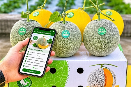 Hướng dẫn sử dụng địa chỉ tra cứu thông tin quy định kiểm dịch thực vật, an toàn thực phẩm phục vụ xuất khẩu