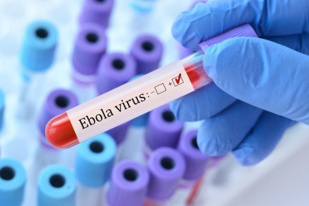 Hà Nội tăng cường phòng, chống bệnh do Ebola vi rút, siết giám sát tại sân bay Nội Bài
