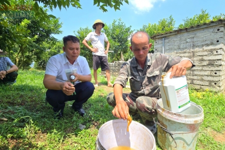 Bảo đảm an toàn thực phẩm: Con đường xây dựng thương hiệu nông sản bền vững