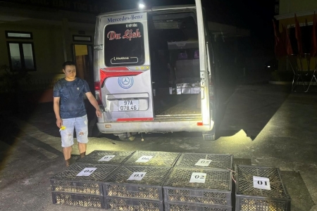 Bộ đội Biên phòng tỉnh Cao Bằng phối hợp bắt giữ 2.215 con gà giống nhập lậu