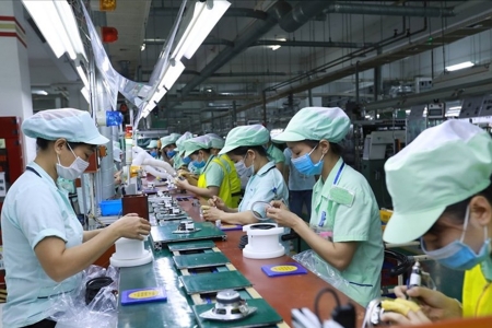 Thị trường lao động dịch chuyển mạnh sang xu hướng học nghề và nâng cao kỹ năng để tìm cơ hội việc làm mới