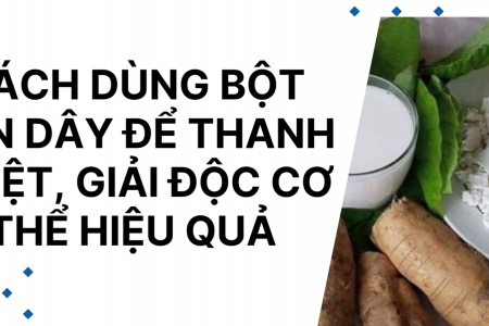 Bột sắn dây vị thuốc cát căn thanh nhiệt và những lưu ý quan trọng khi sử dụng trong mùa nắng nóng