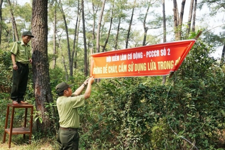 Hà Nội căng mình ứng phó nguy cơ cháy rừng giữa thời tiết khô nóng