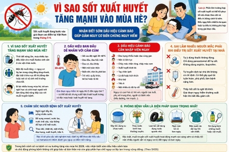 Lâm Đồng ghi nhận hơn 1.100 ca sốt xuất huyết, khẩn trương siết chặt phòng chống dịch mùa mưa
