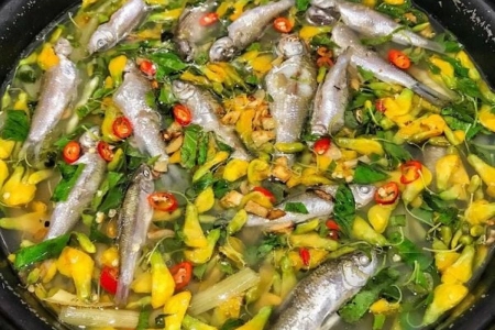Lẩu chua cá linh bông điên điển – Hương vị dân dã từ mùa nước nổi miền Tây