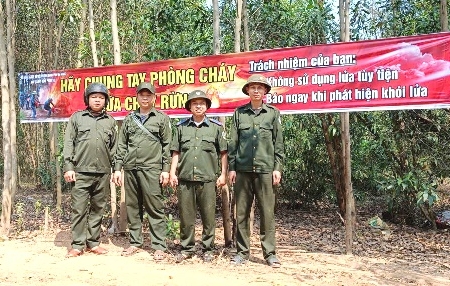 Ban Quản lý rừng phòng hộ Đà Nẵng: Chiến lược bảo vệ rừng bền vững