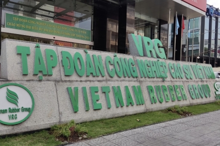 Tập đoàn Công nghiệp Cao su Việt Nam chưa đáp ứng quy định mới về công ty đại chúng, vì sao vẫn được duy trì tư cách?