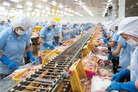 Nam Việt đặt mục tiêu lợi nhuận vượt 1.000 tỷ đồng trong năm 2026