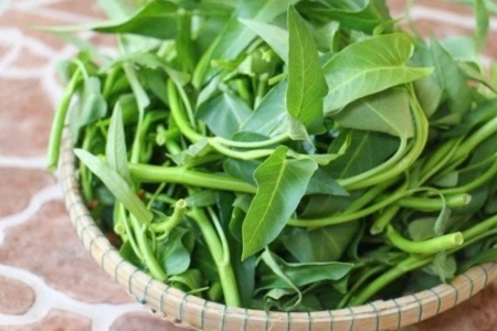 Loại rau quen thuộc trong mâm cơm Việt, giá rẻ nhưng giá trị dinh dưỡng bất ngờ