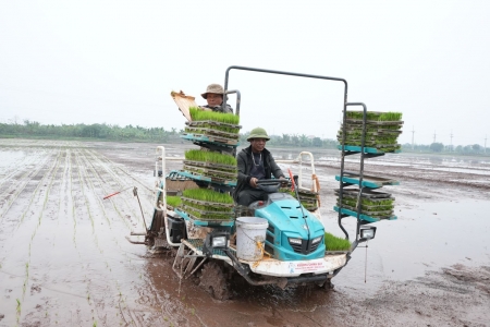 Hà Nội đẩy nhanh tiến độ sản xuất vụ mùa trước nguy cơ nắng nóng kéo dài
