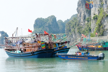 Quảng Ninh: Công khai 35 điểm neo đậu tàu thuyền trên vịnh Hạ Long, vịnh Bái Tử Long