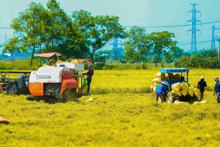 Cải cách thủ tục hành chính tạo dư địa phát triển cho doanh nghiệp nông nghiệp và môi trường
