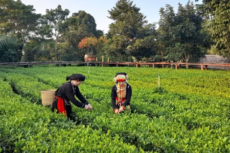 Bắc Ninh phê duyệt Đề án hỗ trợ Thanh niên khởi nghiệp giai đoạn 2026 - 2030