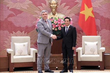 Phát triển thực chất, bền vững quan hệ chiến lược Việt Nam - Liên bang Nga